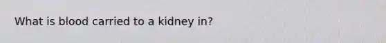 What is blood carried to a kidney in?