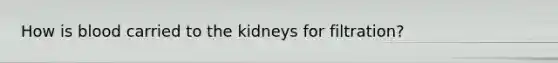 How is blood carried to the kidneys for filtration?