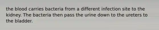 the blood carries bacteria from a different infection site to the kidney. The bacteria then pass the urine down to the ureters to the bladder.