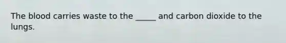 The blood carries waste to the _____ and carbon dioxide to the lungs.