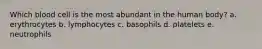 Which blood cell is the most abundant in the human body? a. erythrocytes b. lymphocytes c. basophils d. platelets e. neutrophils