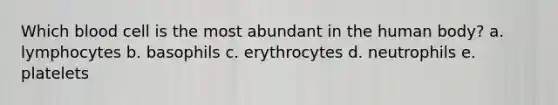 Which blood cell is the most abundant in the human body? a. lymphocytes b. basophils c. erythrocytes d. neutrophils e. platelets