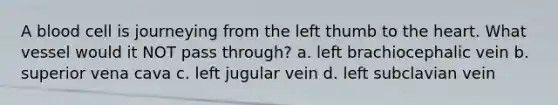 A blood cell is journeying from the left thumb to the heart. What vessel would it NOT pass through? a. left brachiocephalic vein b. superior vena cava c. left jugular vein d. left subclavian vein