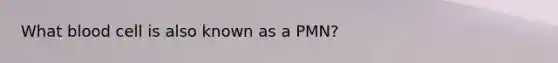 What blood cell is also known as a PMN?