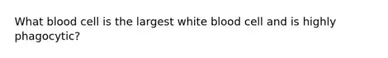 What blood cell is the largest white blood cell and is highly phagocytic?