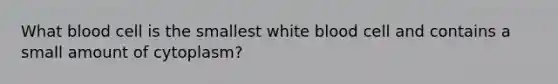 What blood cell is the smallest white blood cell and contains a small amount of cytoplasm?