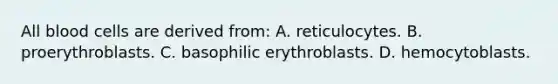 All blood cells are derived from: A. reticulocytes. B. proerythroblasts. C. basophilic erythroblasts. D. hemocytoblasts.