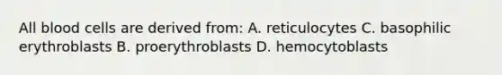 All blood cells are derived from: A. reticulocytes C. basophilic erythroblasts B. proerythroblasts D. hemocytoblasts