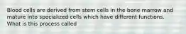 Blood cells are derived from stem cells in the bone marrow and mature into specialized cells which have different functions. What is this process called