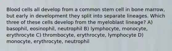 Blood cells all develop from a common stem cell in bone marrow, but early in development they split into separate lineages. Which three of these cells develop from the myeloblast lineage? A) basophil, eosinophil, neutrophil B) lymphocyte, monocyte, erythrocyte C) thrombocyte, erythrocyte, lymphocyte D) monocyte, erythrocyte, neutrophil