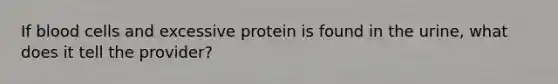 If blood cells and excessive protein is found in the urine, what does it tell the provider?