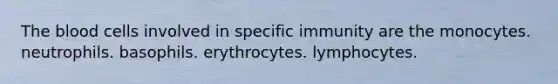 The blood cells involved in specific immunity are the monocytes. neutrophils. basophils. erythrocytes. lymphocytes.