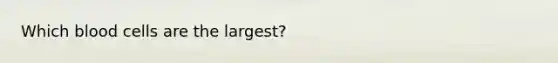 Which blood cells are the largest?