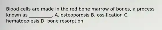 Blood cells are made in the red bone marrow of bones, a process known as __________. A. osteoporosis B. ossification C. hematopoiesis D. bone resorption