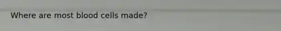 Where are most blood cells made?