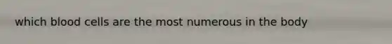 which blood cells are the most numerous in the body