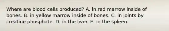 Where are blood cells produced? A. in red marrow inside of bones. B. in yellow marrow inside of bones. C. in joints by creatine phosphate. D. in the liver. E. in the spleen.