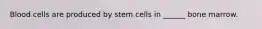 Blood cells are produced by stem cells in ______ bone marrow.