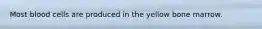 Most blood cells are produced in the yellow bone marrow.