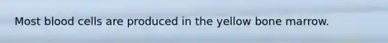 Most blood cells are produced in the yellow bone marrow.