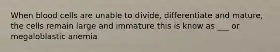 When blood cells are unable to divide, differentiate and mature, the cells remain large and immature this is know as ___ or megaloblastic anemia