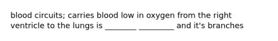 blood circuits; carries blood low in oxygen from the right ventricle to the lungs is ________ _________ and it's branches