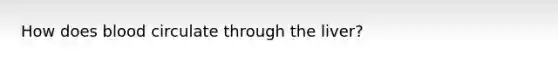 How does blood circulate through the liver?