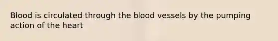 Blood is circulated through the blood vessels by the pumping action of the heart