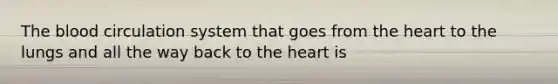 <a href='https://www.questionai.com/knowledge/k7oXMfj7lk-the-blood' class='anchor-knowledge'>the blood</a> circulation system that goes from <a href='https://www.questionai.com/knowledge/kya8ocqc6o-the-heart' class='anchor-knowledge'>the heart</a> to the lungs and all the way back to the heart is