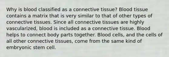 Why is blood classified as a connective tissue? Blood tissue contains a matrix that is very similar to that of other types of connective tissues. Since all connective tissues are highly vascularized, blood is included as a connective tissue. Blood helps to connect body parts together. Blood cells, and the cells of all other connective tissues, come from the same kind of embryonic stem cell.