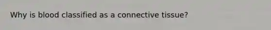 Why is blood classified as a connective tissue?