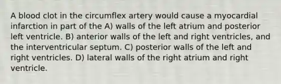 A blood clot in the circumflex artery would cause a myocardial infarction in part of the A) walls of the left atrium and posterior left ventricle. B) anterior walls of the left and right ventricles, and the interventricular septum. C) posterior walls of the left and right ventricles. D) lateral walls of the right atrium and right ventricle.