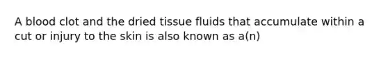 A blood clot and the dried tissue fluids that accumulate within a cut or injury to the skin is also known as a(n)