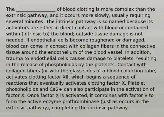 The _________________ of blood clotting is more complex than the extrinsic pathway, and it occurs more slowly, usually requiring several minutes. The intrinsic pathway is so named because its activators are either in direct contact with blood or contained within (intrinsic to) the blood; outside tissue damage is not needed. If endothelial cells become roughened or damaged, blood can come in contact with collagen fibers in the connective tissue around the endothelium of the blood vessel. In addition, trauma to endothelial cells causes damage to platelets, resulting in the release of phospholipids by the platelets. Contact with collagen fibers (or with the glass sides of a blood collection tube) activates clotting factor XII, which begins a sequence of reactions that eventually activates clotting factor X. Platelet phospholipids and Ca2+ can also participate in the activation of factor X. Once factor X is activated, it combines with factor V to form the active enzyme prothrombinase (just as occurs in the extrinsic pathway), completing the intrinsic pathway.