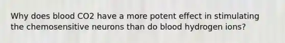 Why does blood CO2 have a more potent effect in stimulating the chemosensitive neurons than do blood hydrogen ions?