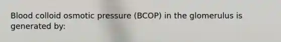 Blood colloid osmotic pressure (BCOP) in the glomerulus is generated by: