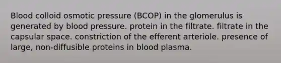 Blood colloid osmotic pressure (BCOP) in the glomerulus is generated by blood pressure. protein in the filtrate. filtrate in the capsular space. constriction of the efferent arteriole. presence of large, non-diffusible proteins in blood plasma.