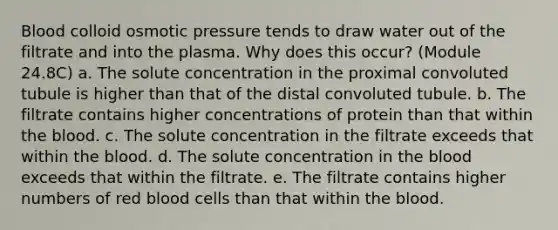 Blood colloid osmotic pressure tends to draw water out of the filtrate and into the plasma. Why does this occur? (Module 24.8C) a. The solute concentration in the proximal convoluted tubule is higher than that of the distal convoluted tubule. b. The filtrate contains higher concentrations of protein than that within the blood. c. The solute concentration in the filtrate exceeds that within the blood. d. The solute concentration in the blood exceeds that within the filtrate. e. The filtrate contains higher numbers of red blood cells than that within the blood.