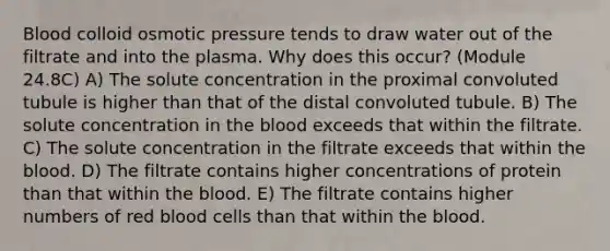 Blood colloid osmotic pressure tends to draw water out of the filtrate and into the plasma. Why does this occur? (Module 24.8C) A) The solute concentration in the proximal convoluted tubule is higher than that of the distal convoluted tubule. B) The solute concentration in the blood exceeds that within the filtrate. C) The solute concentration in the filtrate exceeds that within the blood. D) The filtrate contains higher concentrations of protein than that within the blood. E) The filtrate contains higher numbers of red blood cells than that within the blood.