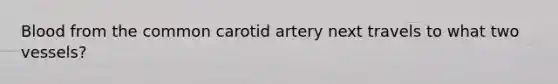 Blood from the common carotid artery next travels to what two vessels?