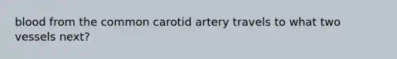 blood from the common carotid artery travels to what two vessels next?