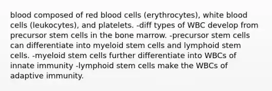 blood composed of red blood cells (erythrocytes), white blood cells (leukocytes), and platelets. -diff types of WBC develop from precursor stem cells in the bone marrow. -precursor stem cells can differentiate into myeloid stem cells and lymphoid stem cells. -myeloid stem cells further differentiate into WBCs of innate immunity -lymphoid stem cells make the WBCs of adaptive immunity.