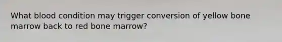 What blood condition may trigger conversion of yellow bone marrow back to red bone marrow?