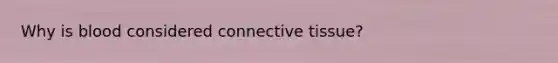 Why is blood considered connective tissue?