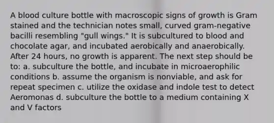 A blood culture bottle with macroscopic signs of growth is Gram stained and the technician notes small, curved gram-negative bacilli resembling "gull wings." It is subcultured to blood and chocolate agar, and incubated aerobically and anaerobically. After 24 hours, no growth is apparent. The next step should be to: a. subculture the bottle, and incubate in microaerophilic conditions b. assume the organism is nonviable, and ask for repeat specimen c. utilize the oxidase and indole test to detect Aeromonas d. subculture the bottle to a medium containing X and V factors