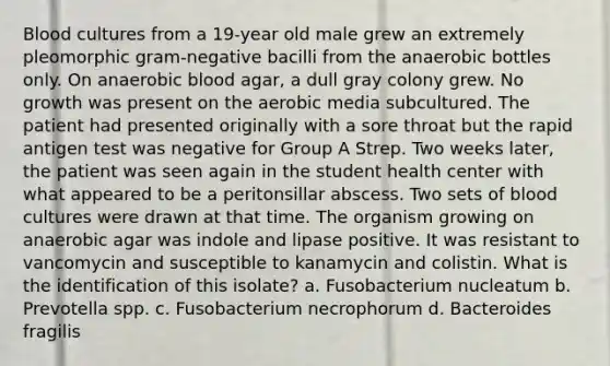 Blood cultures from a 19-year old male grew an extremely pleomorphic gram-negative bacilli from the anaerobic bottles only. On anaerobic blood agar, a dull gray colony grew. No growth was present on the aerobic media subcultured. The patient had presented originally with a sore throat but the rapid antigen test was negative for Group A Strep. Two weeks later, the patient was seen again in the student health center with what appeared to be a peritonsillar abscess. Two sets of blood cultures were drawn at that time. The organism growing on anaerobic agar was indole and lipase positive. It was resistant to vancomycin and susceptible to kanamycin and colistin. What is the identification of this isolate? a. Fusobacterium nucleatum b. Prevotella spp. c. Fusobacterium necrophorum d. Bacteroides fragilis