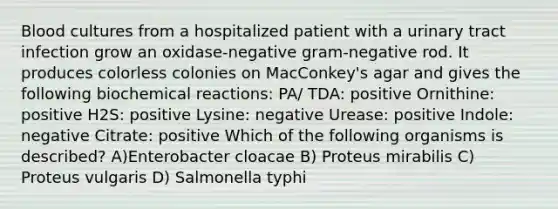 Blood cultures from a hospitalized patient with a urinary tract infection grow an oxidase-negative gram-negative rod. It produces colorless colonies on MacConkey's agar and gives the following biochemical reactions: PA/ TDA: positive Ornithine: positive H2S: positive Lysine: negative Urease: positive Indole: negative Citrate: positive Which of the following organisms is described? A)Enterobacter cloacae B) Proteus mirabilis C) Proteus vulgaris D) Salmonella typhi