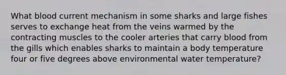 What blood current mechanism in some sharks and large fishes serves to exchange heat from the veins warmed by the contracting muscles to the cooler arteries that carry blood from the gills which enables sharks to maintain a body temperature four or five degrees above environmental water temperature?