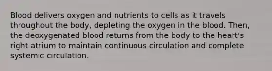 Blood delivers oxygen and nutrients to cells as it travels throughout the body, depleting the oxygen in the blood. Then, the deoxygenated blood returns from the body to the heart's right atrium to maintain continuous circulation and complete systemic circulation.