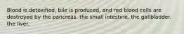 Blood is detoxified, bile is produced, and red blood cells are destroyed by the pancreas. the small intestine. the gallbladder. the liver.